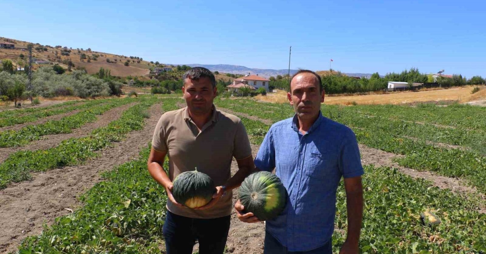 İHA-COĞRAFİ İŞARETLİ MEŞHUR KAHRAMANKAZAN KAVUNU YENİDEN SOFRALARA DÖNÜYOR