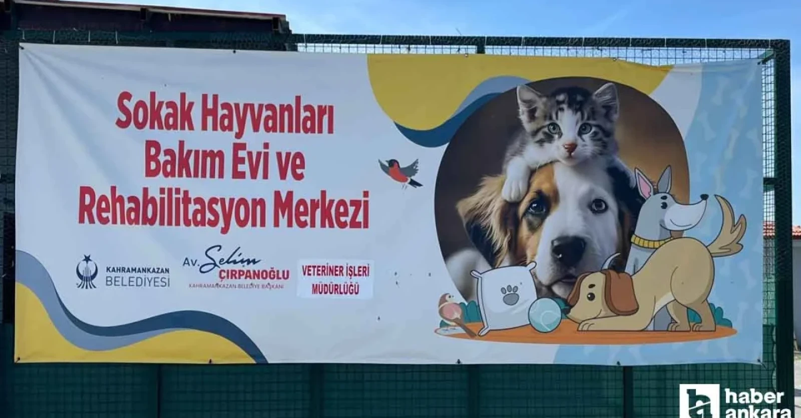 HABER ANKARA-KAHRAMANKAZAN BELEDİYESİNDEN SOKAK HAYVANLARINA YARDIM ELİ!